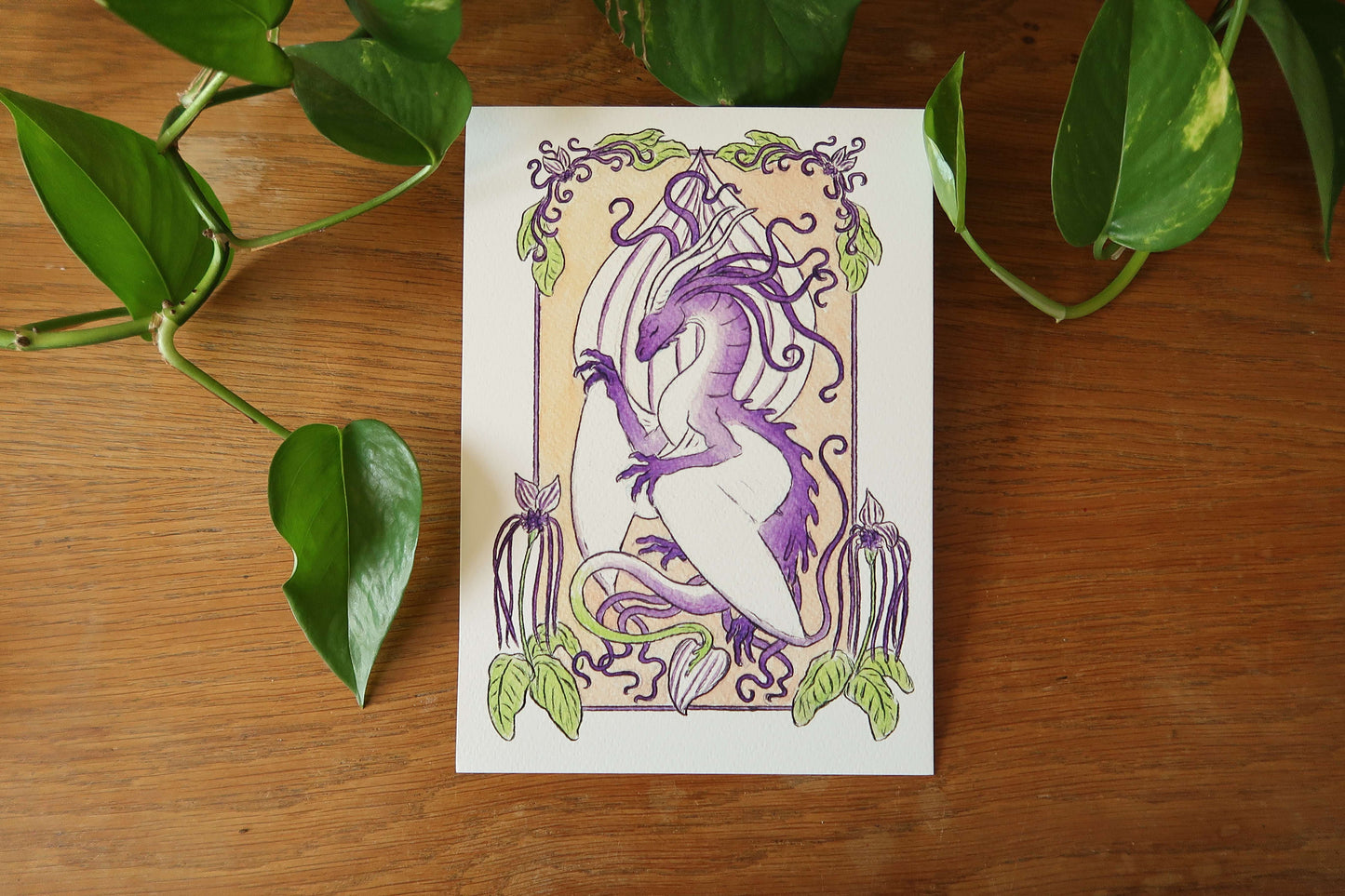 Whiskered barbtail or Wine wyver - A5 Print