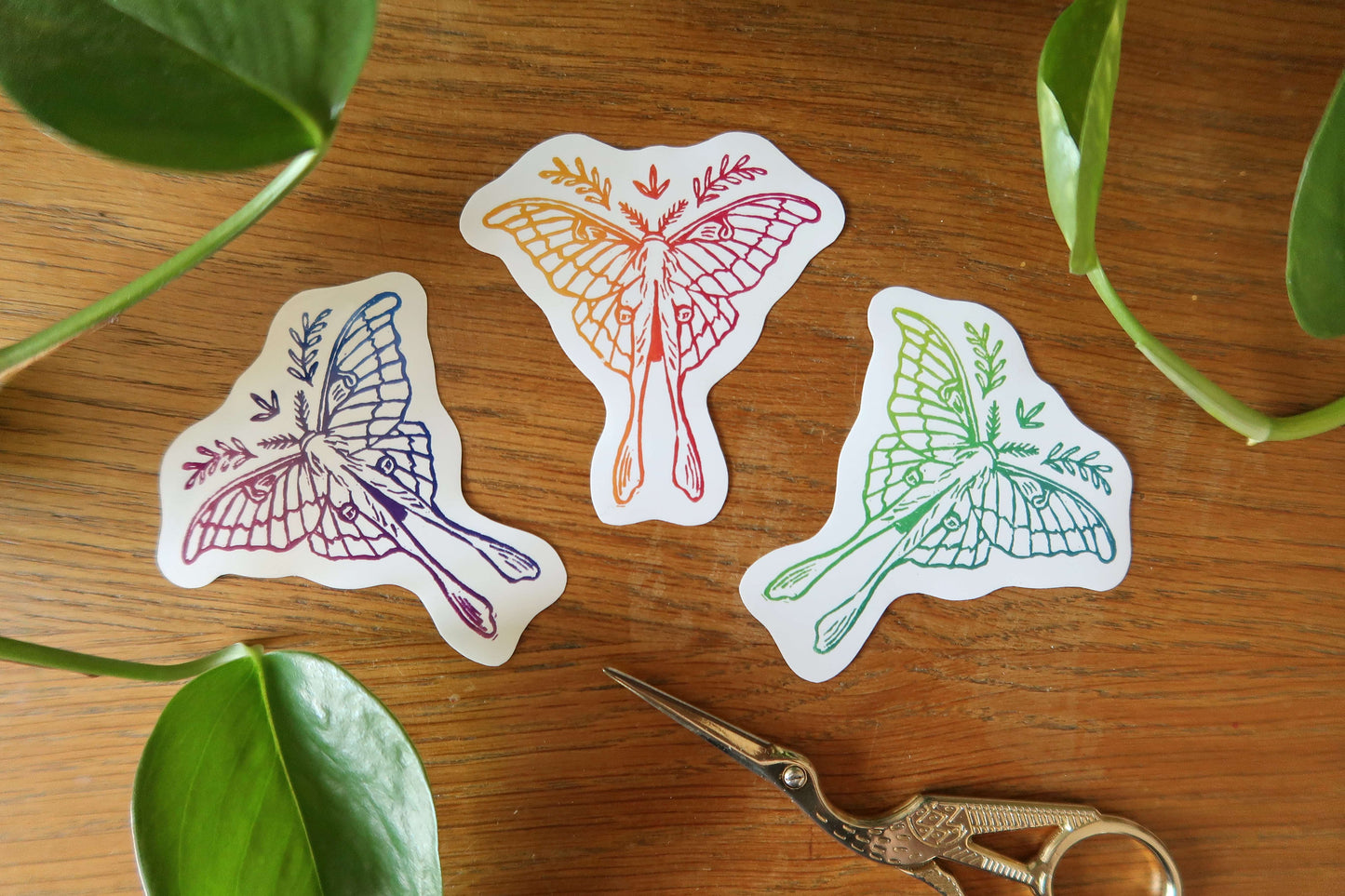 Colorful moth - Stickers set or sticker