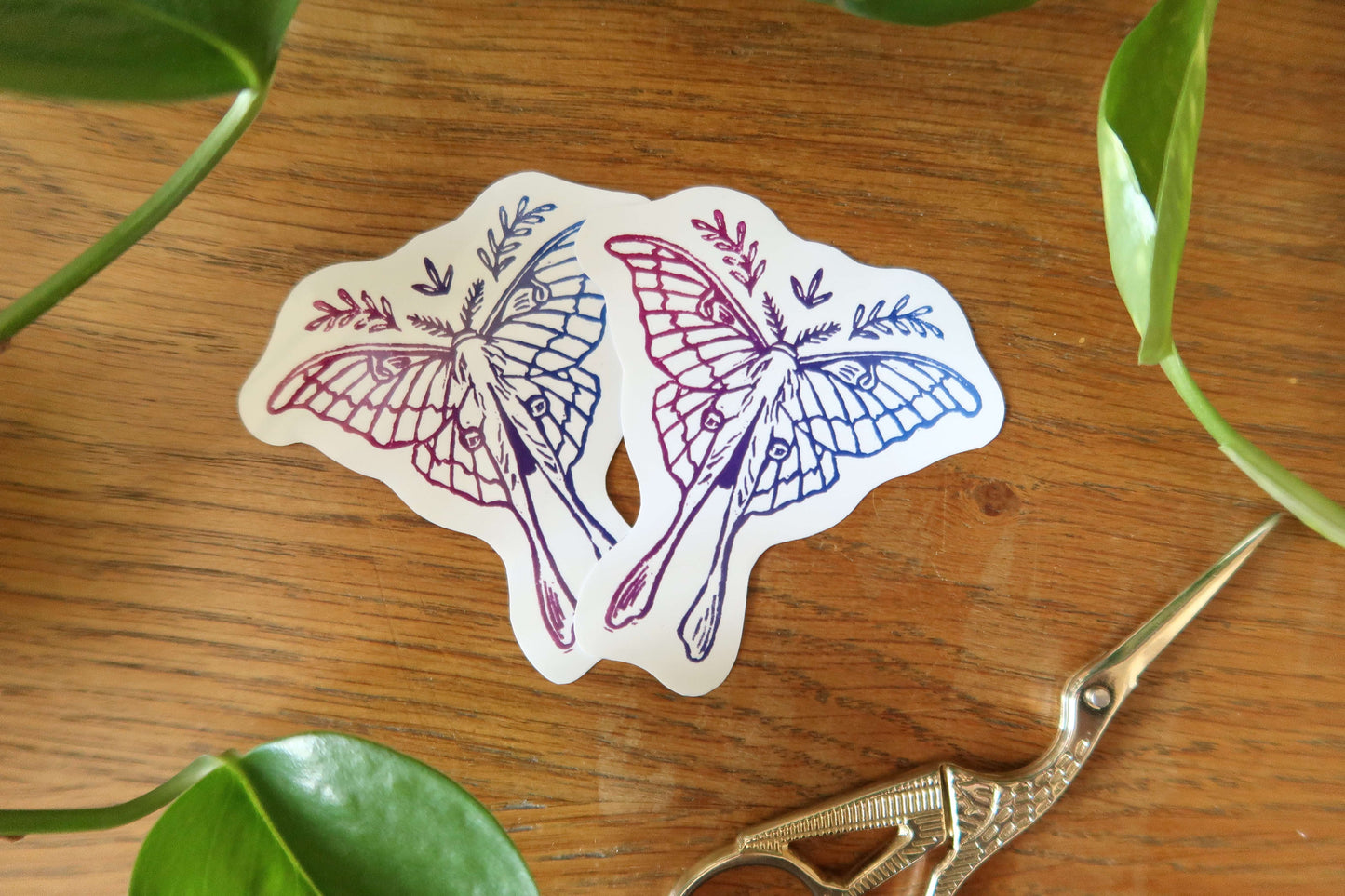 Colorful moth - Stickers set or sticker