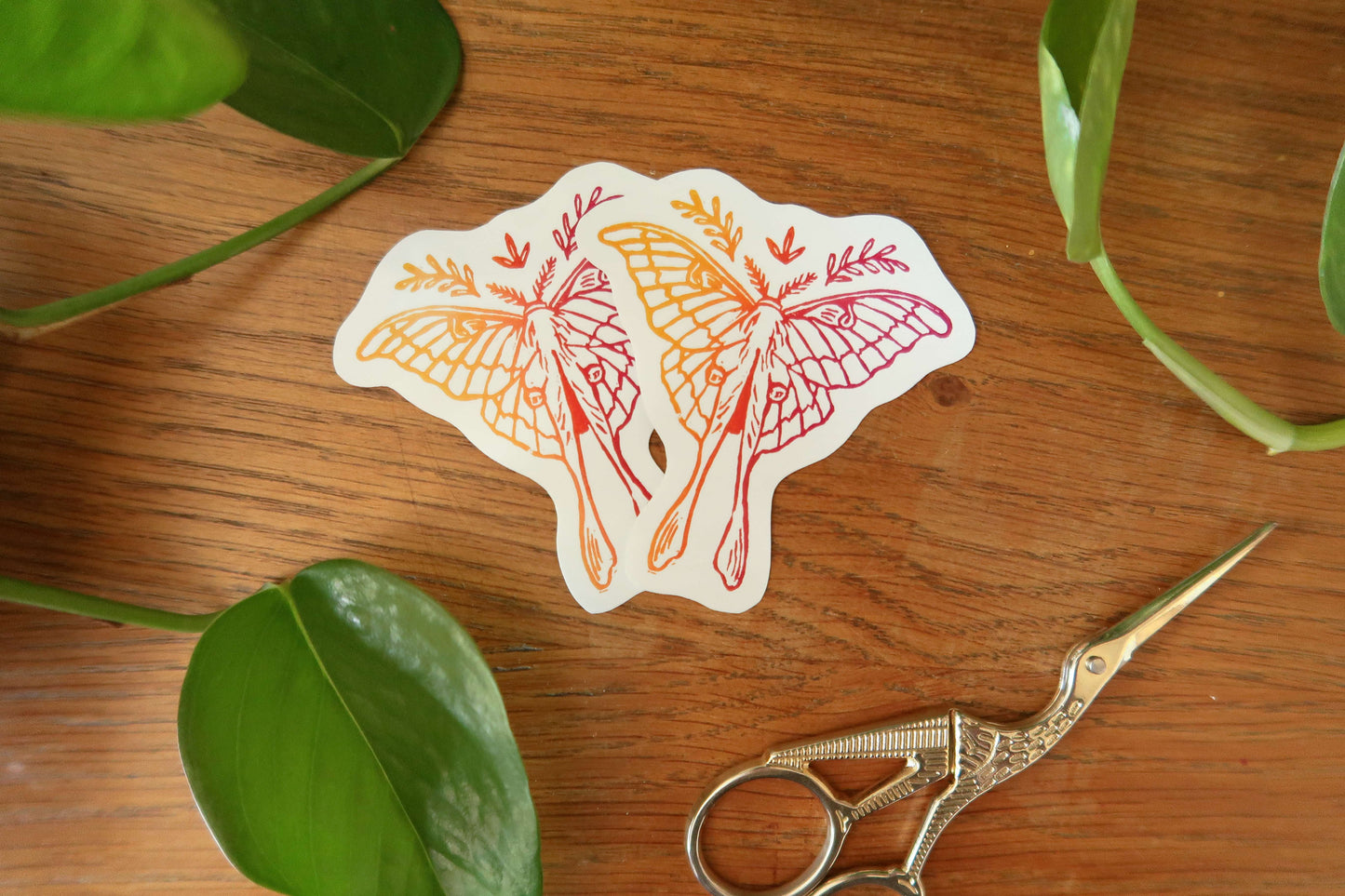 Colorful moth - Stickers set or sticker