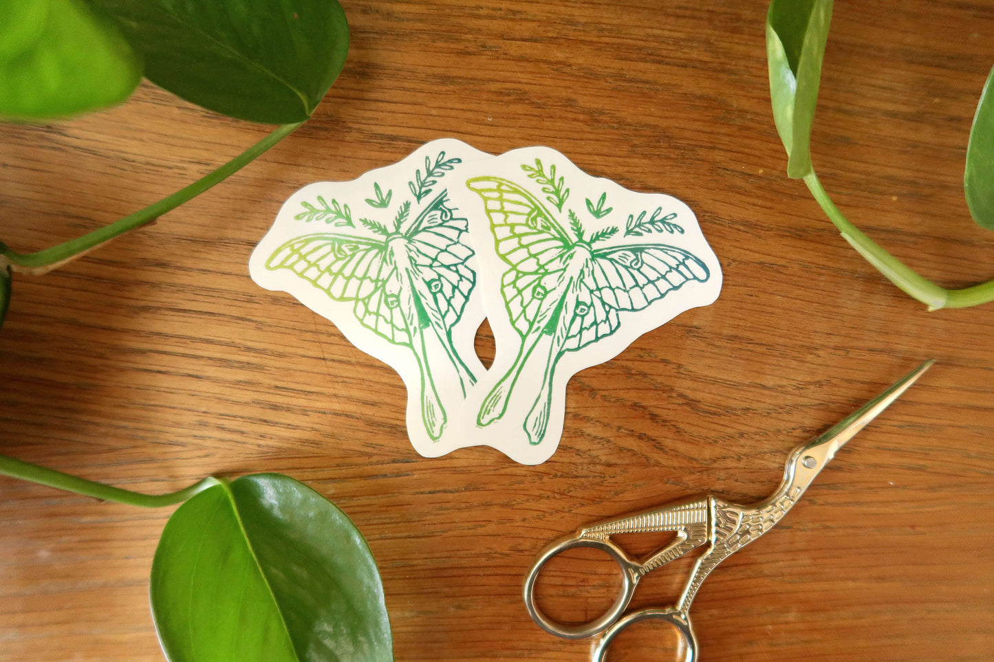 Colorful moth - Stickers set or sticker