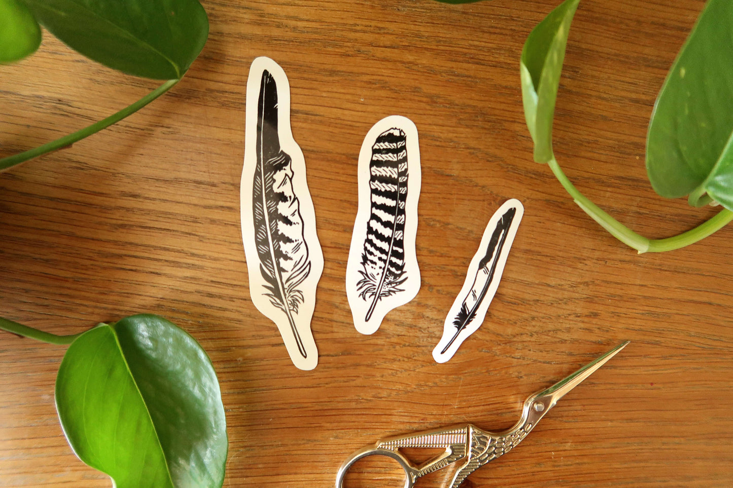 Feathers - Stickers set