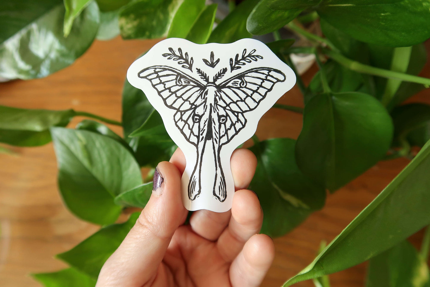 Fantasy creatures- Set 1 - Stickers set or sticker