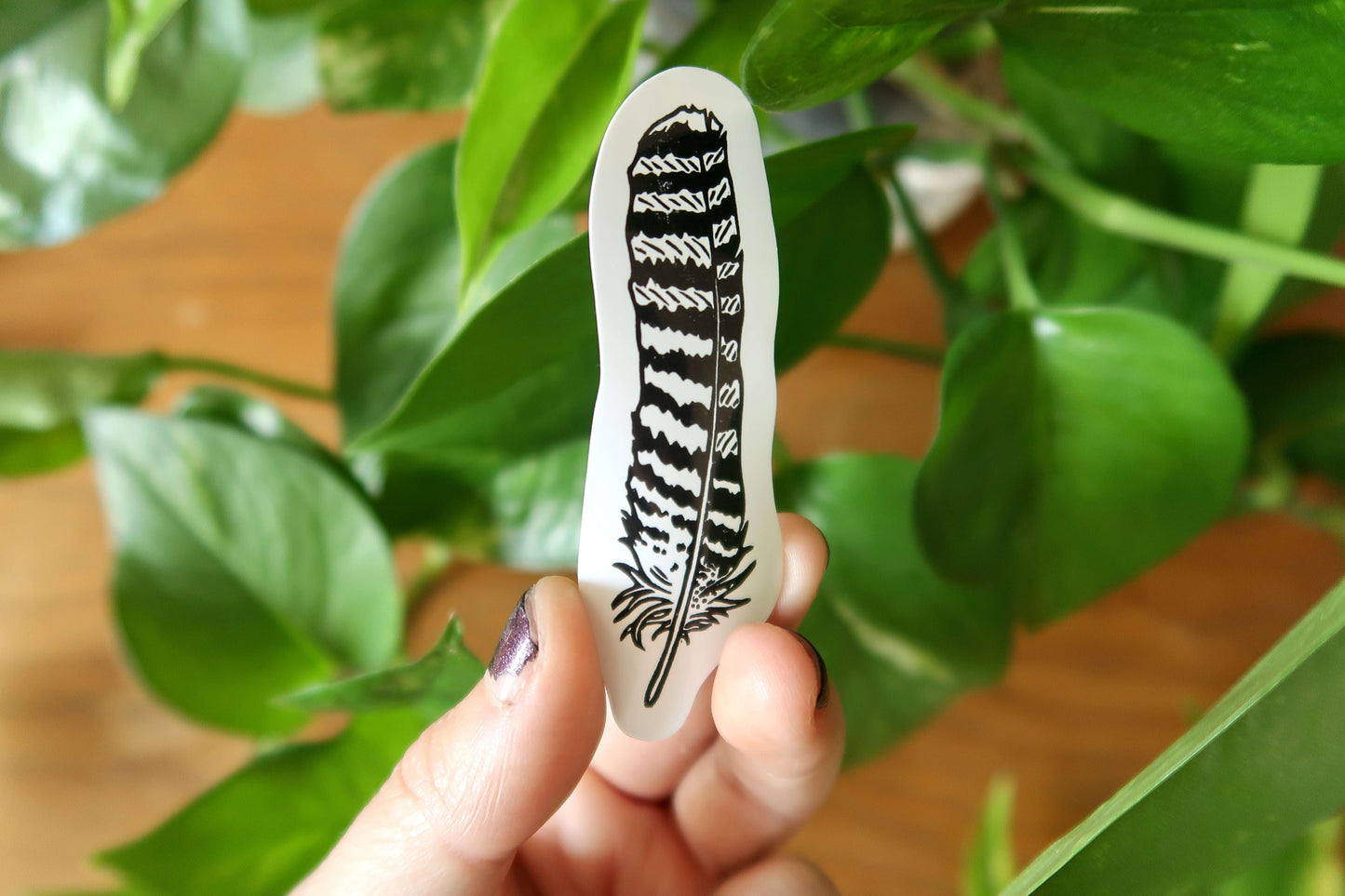 Feathers - Stickers set