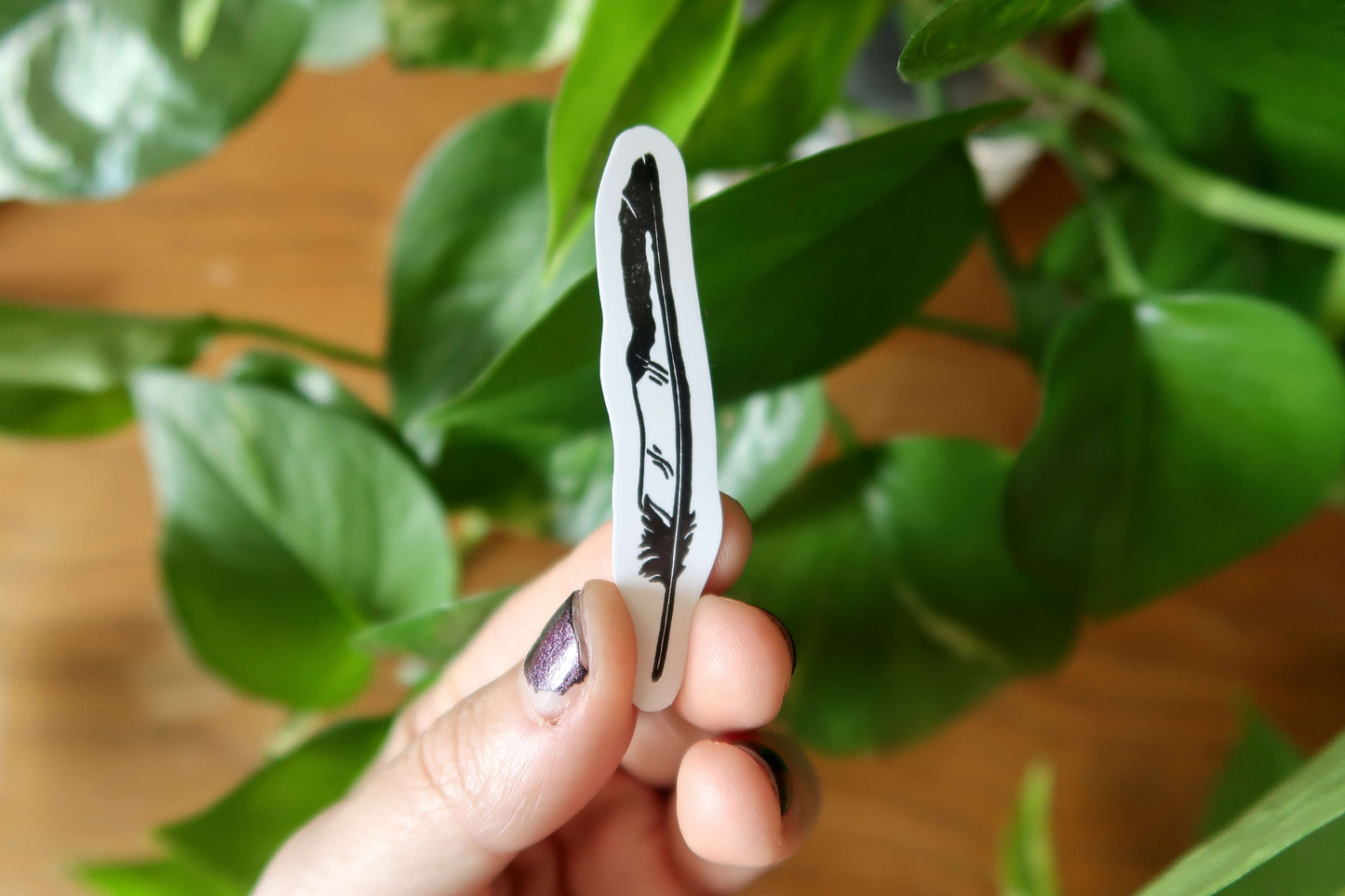 Feathers - Stickers set