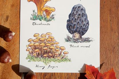 Edible mushrooms -A5 print