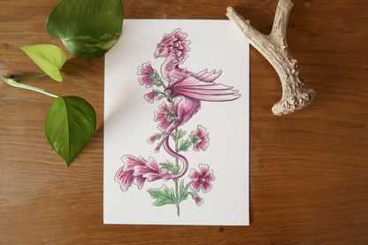 Common mallow Dragon - Print A5 or A4