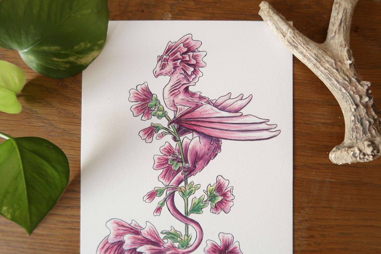 Common mallow Dragon - Print A5 or A4