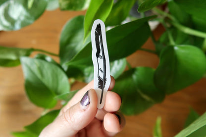 Feathers - Stickers set